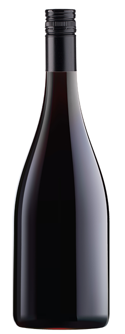 Mystery Margaret River Shiraz 2020